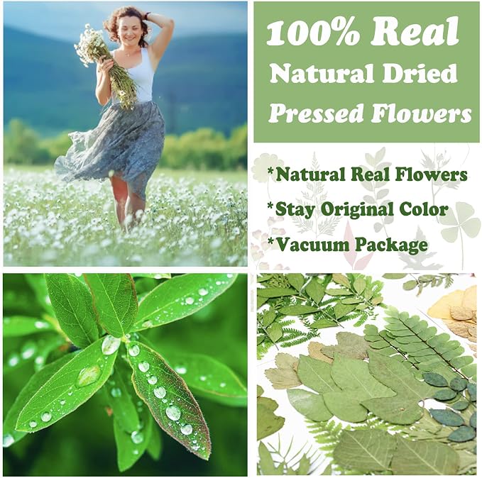84 Pcs Dried Leaves Pressed Flowers - Image 2