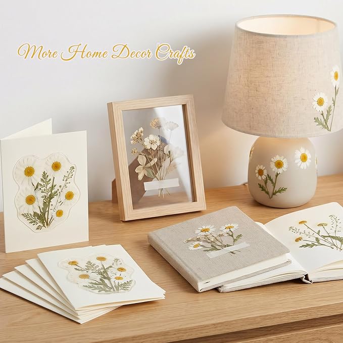 48 Pcs Natural Dried Pressed Daisy Flowers - Image 7