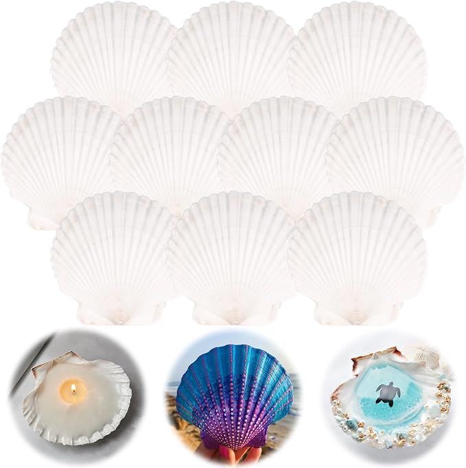 10PCS Scallop Shells for Crafts 4''-5'' Natural White Large Shells Decoration by PremiumYardSignsJoyfulPartyEssentialsForEverysingleHome