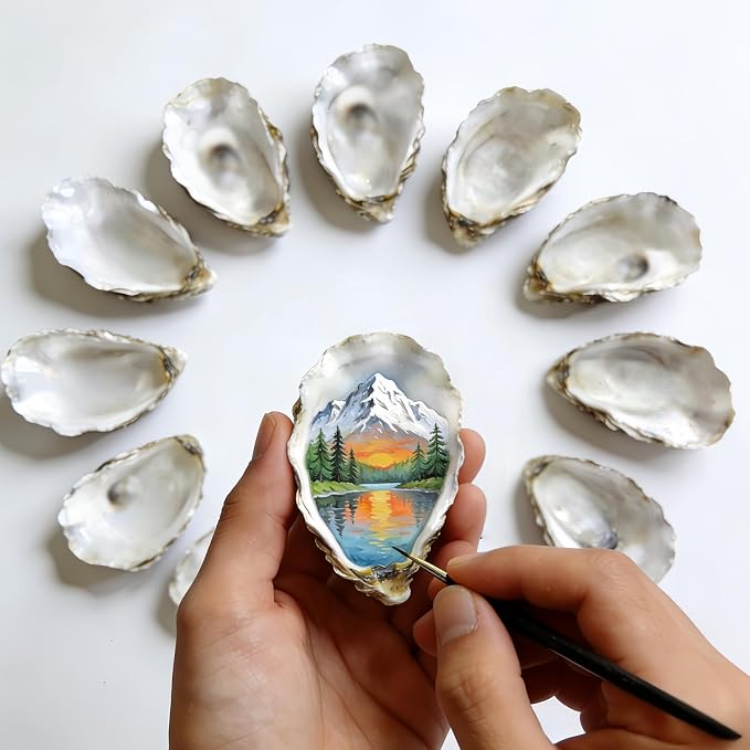 20Pcs 3"-4" Oyster Shells for Crafts Natural Large Oyster Shells for DIY by Unknown