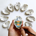 20Pcs 3"-4" Oyster Shells for Crafts Natural Large Oyster Shells for DIY by Unknown