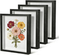 4 Pack 8 x 10 Shadow Box Frame, Shadow Boxes Display Cases 3D Wood Deep by Unknown