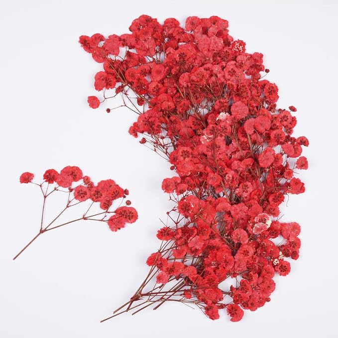 50Pcs Red Babys Breath Dried Pressed Flowers by Unknown
