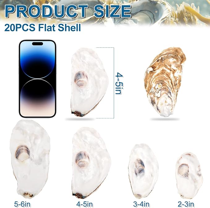 QICQDRAM 20PCS Flat Oyster Shells 4"-5" Large Oyster Shells - Image 2