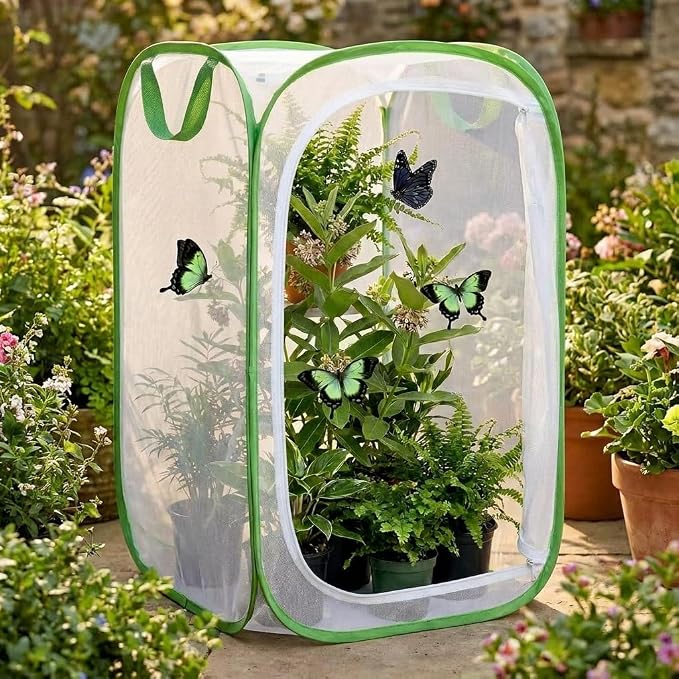 Insect & Butterfly Habitat Cage, Portable Pop-Up Terrarium - Image 6