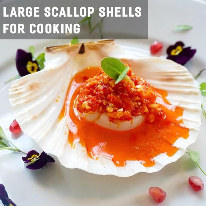 QEQEKAKA 6PCS Large Scallop Shells - Image 5