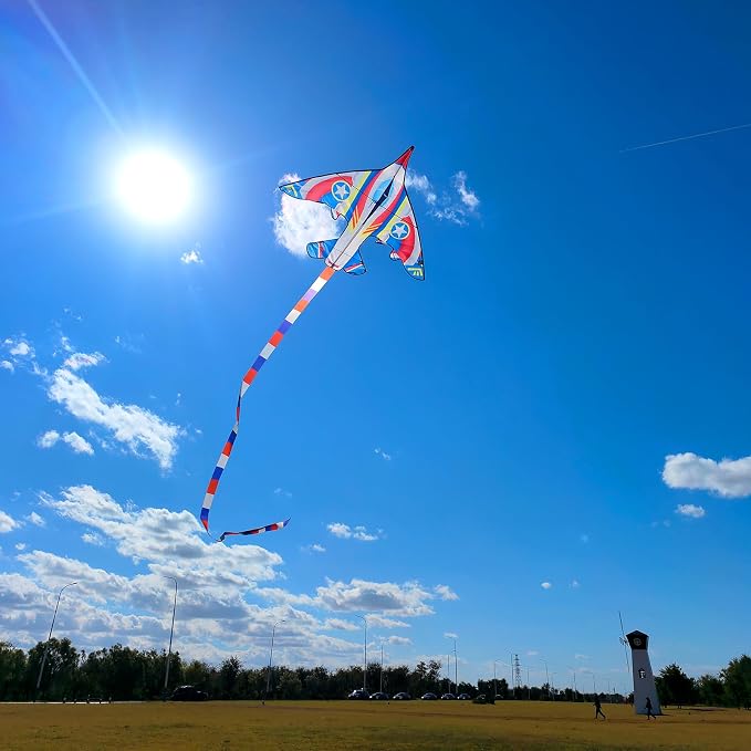 Large Single Line Beach Kite for Adults - Image 4