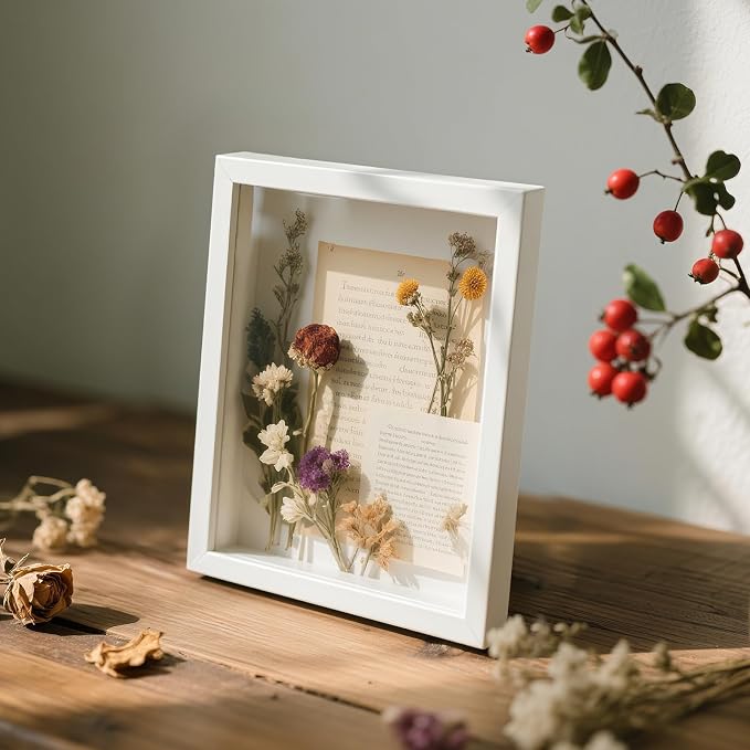 8x10 Shadow Box Frame Display Case - Image 6