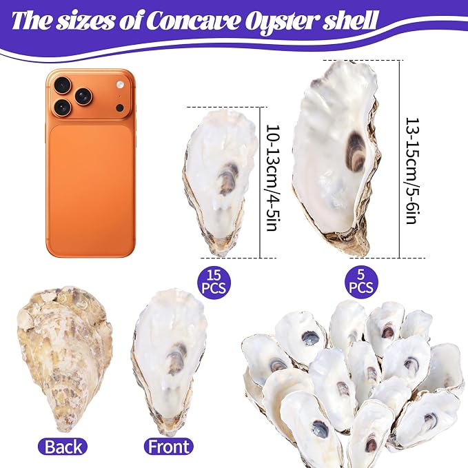 SINKOO 20PCS Concave Oyster Shells 4"-6", Large Oyster Shells - Image 2