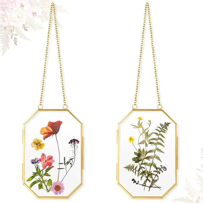 Qunclay 2 Pcs Double Glass Frame by Qunclay