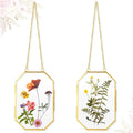 Qunclay 2 Pcs Double Glass Frame by Qunclay