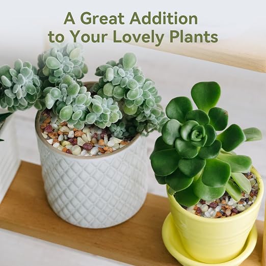 Pulovin 2.5 lbs Pebbles for Indoor Plants, Succulent Rocks, 3/8" Polished - Image 4