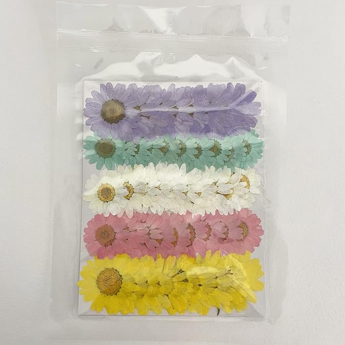 50pcs Natural Dried Daisy Flower, Vacuum Packaging, Pressed Flower - Image 8