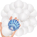 20Pcs 2-3 Inch Scallop Shells for Crafts, Natural White Scallop Shells for by LAMIVORA