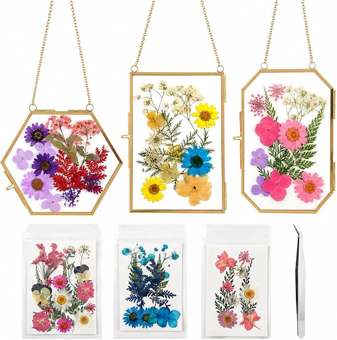 Lujechii 3 Pcs Double Glass Pressed Flower Frame, by Unknown