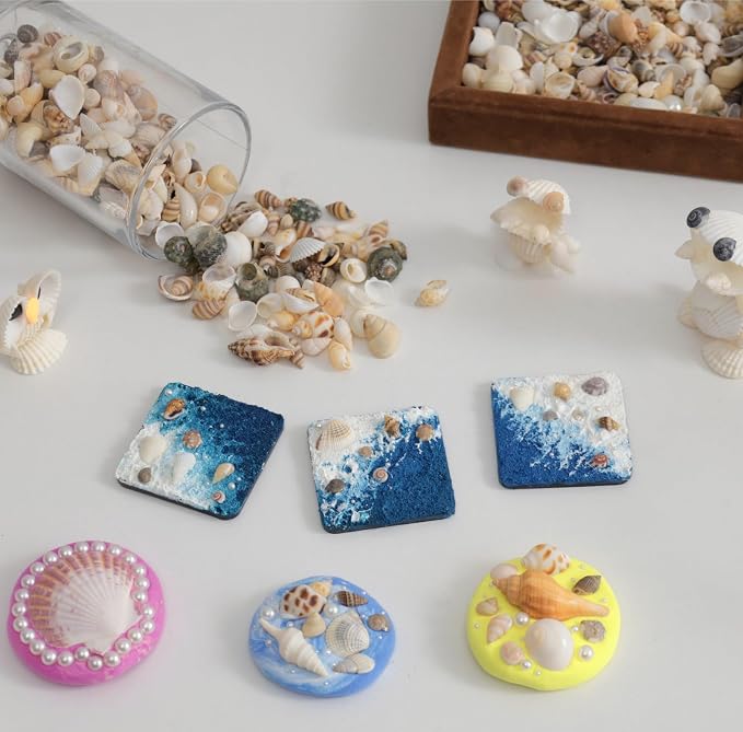 JSPYFITS 1200 PCS Sea Shells Small Mixed Beach Snail Seashells - Image 4