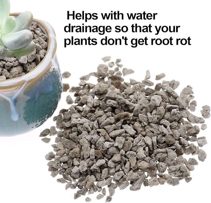 TOYPOPOR Horticultural Bonsai Pumice Succulent Cactus Plants Garden Turface - Image 3