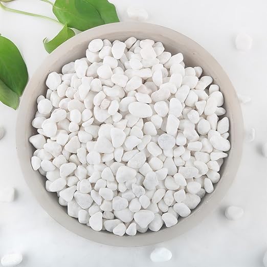 Mulctun 2Lb White Rocks for Plants, 1/4"-3/4" White Pebbles, Decorative Stones by Unknown