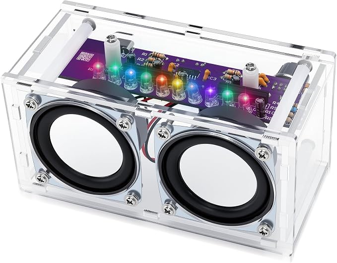 DIY Bluetooth Speaker Kit with LED Light Show by ScienSta