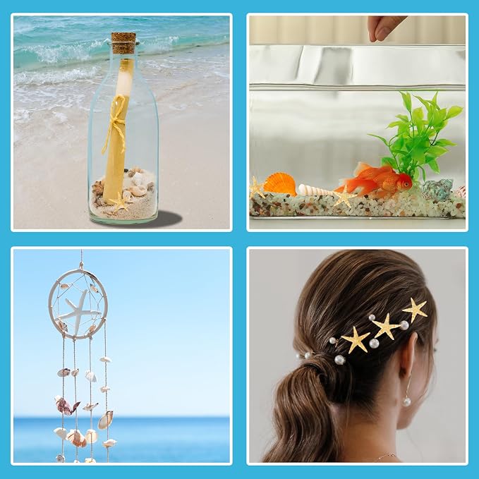WEOXPR Mixed Sea Shells, 300+ Pcs Beach Seashells Starfish, Various Sizes Ocean - Image 6