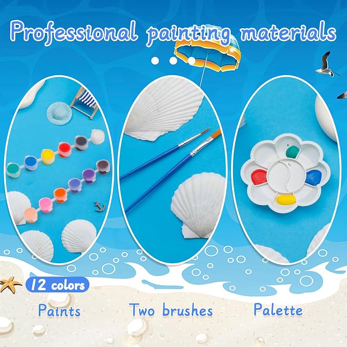 10 PCS Scallop Shells, Seashells - Image 5
