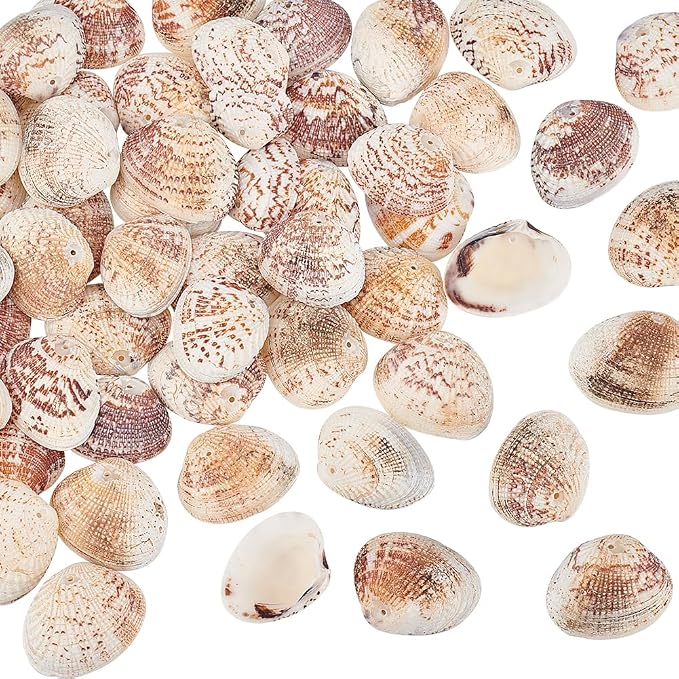 PH PandaHall 40~50pcs Tiny Scallop Sea Shells 24~29mm Ocean Beach Clam Craft by PHPandaHall