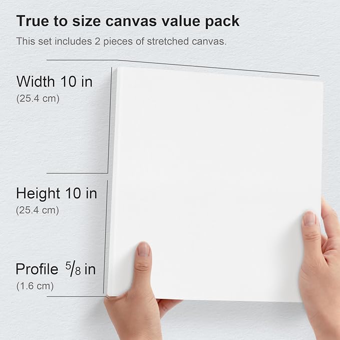 PHOENIX 10x10 Inch Pack of 2 Canvas - Image 2
