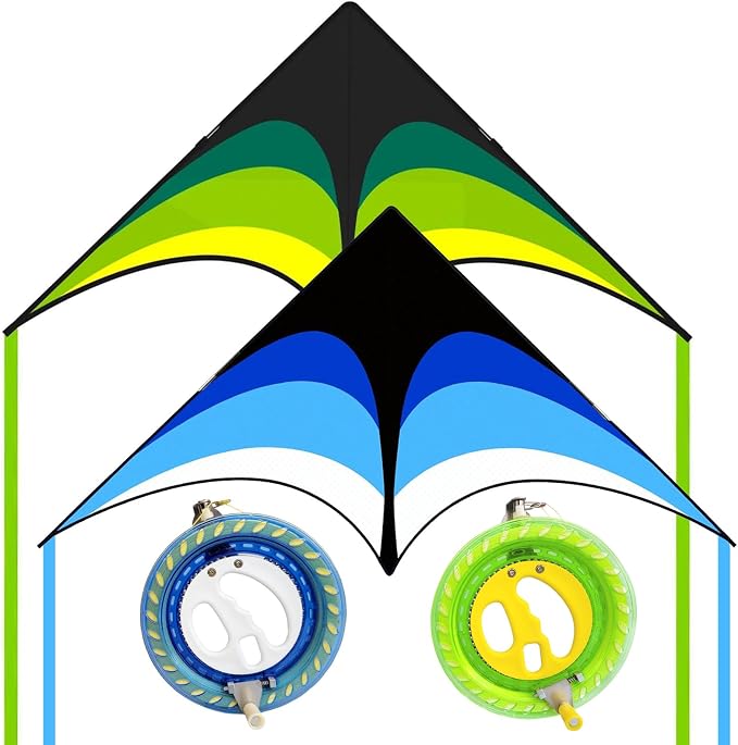 Large Single Line Beach Kite for Adults by Kaiciuss