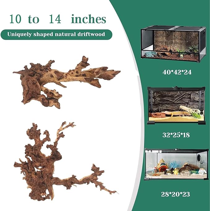 PINVNBY Natural Large Driftwood - Image 2