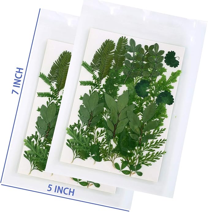 42 PCS Real Dried Pressed Leaf Flowers Plant Herbarium - Image 6