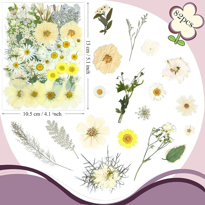 84 Pcs White Dried Pressed Flowers - Image 6