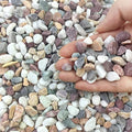 FANTIAN 5 lbs Pebbles for Plants, 3/8 Inch Tiny Pea Gravel. Decorative by FANTIAN-GardeningMakesLifeBetter