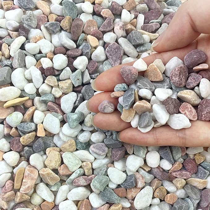 FANTIAN 5 lbs Pebbles for Plants, 3/8 Inch Tiny Pea Gravel. Decorative by FANTIAN-GardeningMakesLifeBetter