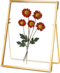 REDHUGO Glass Pressed Flower Frame Handmade, Floating Picture Frames by REDHUGO