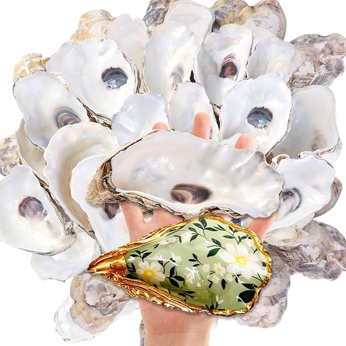 SINKOO 20PCS Concave Oyster Shells 4"-6", Large Oyster Shells by SINKOO