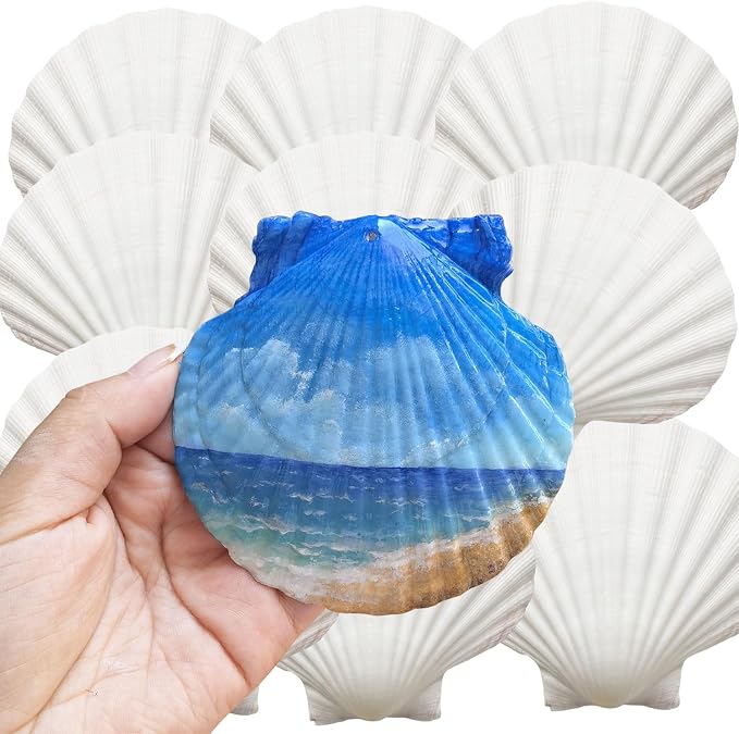 JOTNGDJBN 10PCS Large Natural Scallop Shells, 4-5 Inch White Sea Shells by JOTNGDJBN