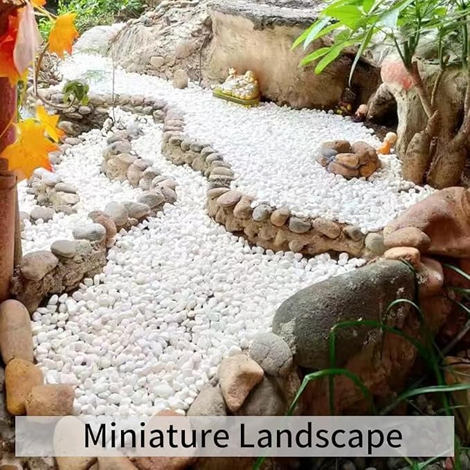 FANTIAN 2 lbs White Rocks for Plants, 3/8 Inch Gravel Pebbles for Plants. - Image 7