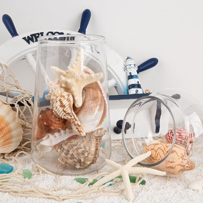 JQAQJU Sea Shells for Decorating 15PCS Large Seashells Starfish Conch for Beach - Image 6