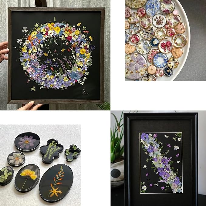 80Pcs Dried Pressed Flowers Purple, Real Natural Bulk Pressed Flowers - Image 4