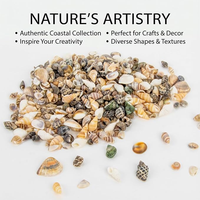 MAQIHAN Tiny Seashells for Crafts - Image 2
