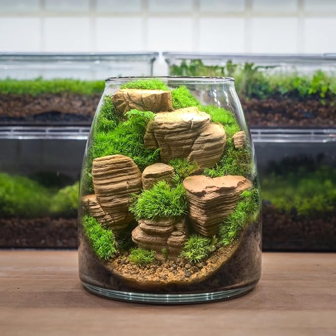 Natural Rocks Pagoda Stones 1-2.5 Inches Decorative Rocks - Image 4