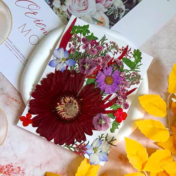 26 Pcs Purple Big Dried Pressed Flowers - Image 2