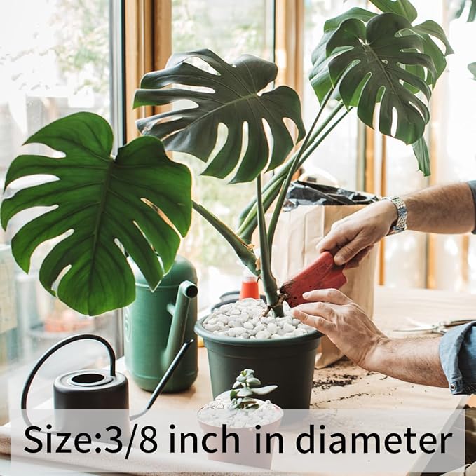 FANTIAN 2 lbs White Rocks for Plants, 3/8 Inch Gravel Pebbles for Plants. - Image 8