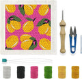 BEUNITONE DIY Punch Needle Kits by BEUNITONE