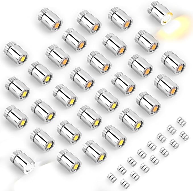 30pcs Miniature LED Lights, Warm White & Cool White Mini Electric Micro Tiny by BTFO