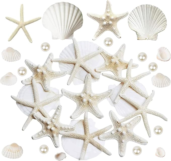 JQAQJU 16PCS Starfish and Scallop Shells by JQAQJU