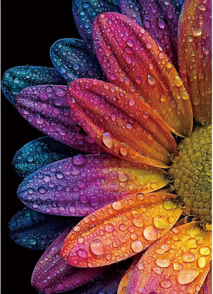Rainbow Daisy with Water Drops Diamond Painting Kits by Unknown