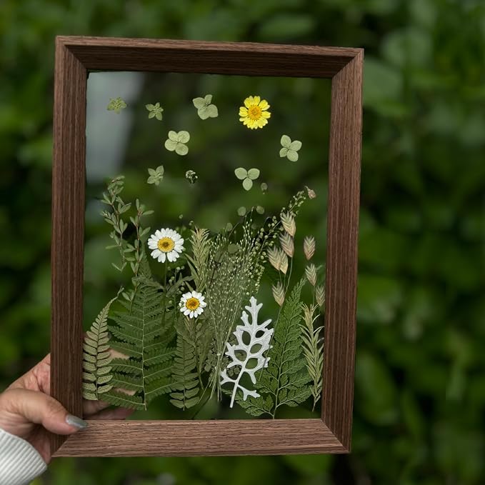 A4 Large Real Dried Pressed Leaves - Image 4