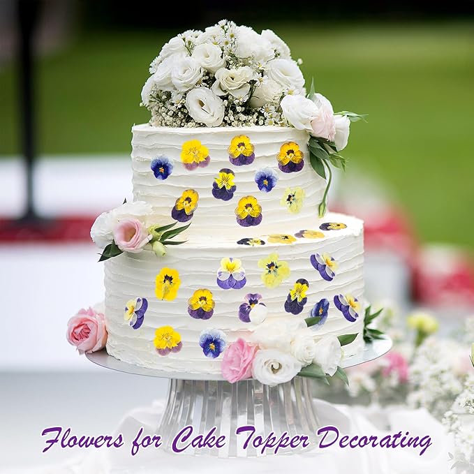 96 Pcs Natural Dried Pressed Edible Flowers - Image 4