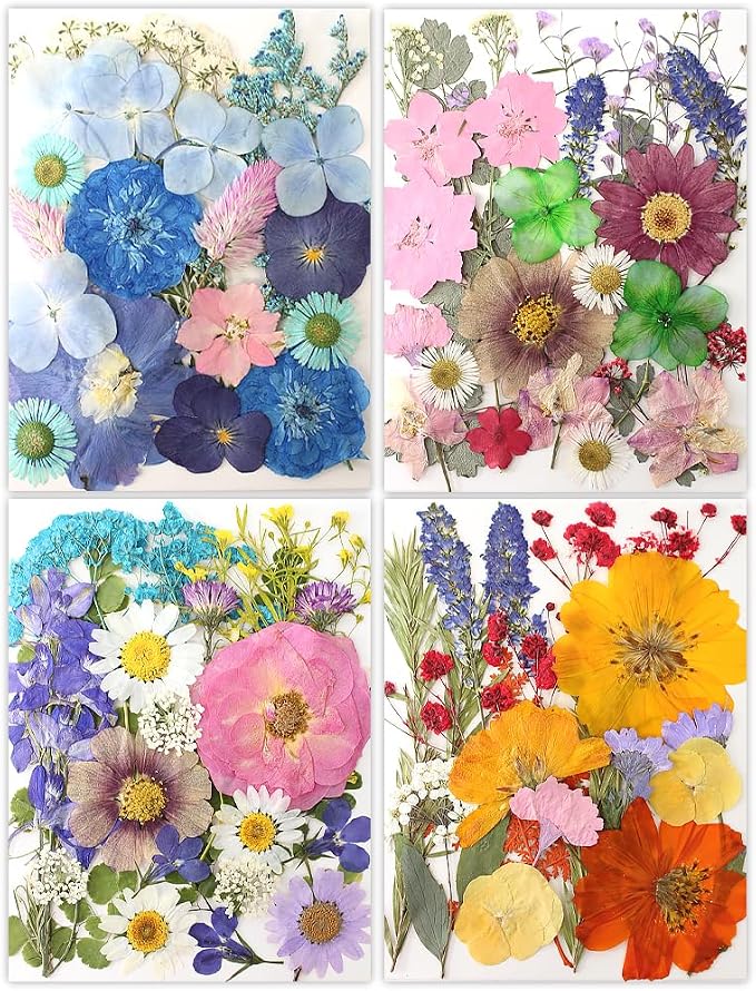 80Pcs Dried Pressed Flowers, Natural Pressed Flowers - Image 6